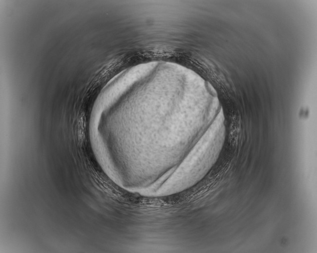 X0000098020866200804181159