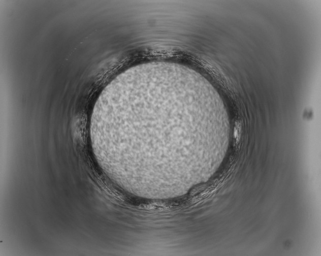 X0000098020867200804181159