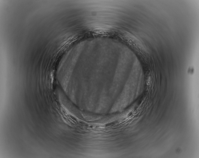 X0000098020868200804181159