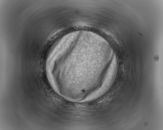 X0000098020870200804181159