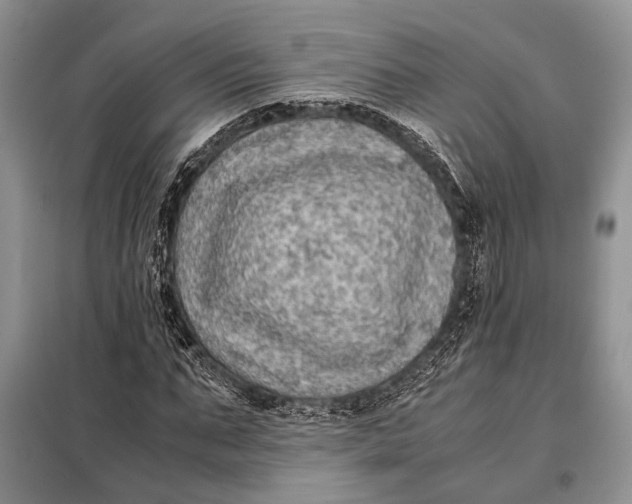 X0000098020871200804181159