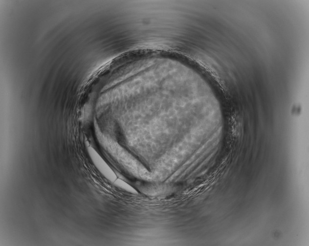 X0000098020872200804181159