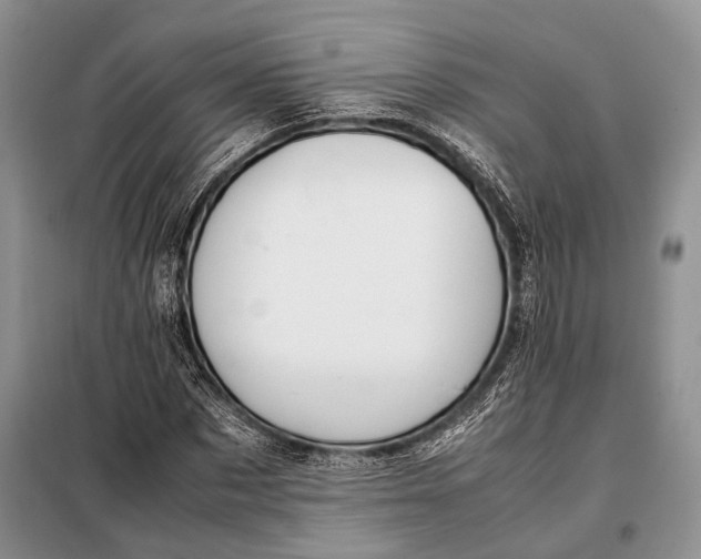 X0000098020873200804181159