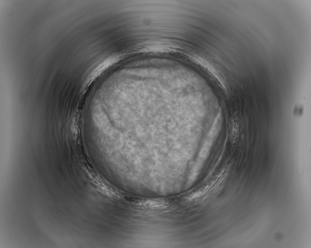 X0000098020874200804181159
