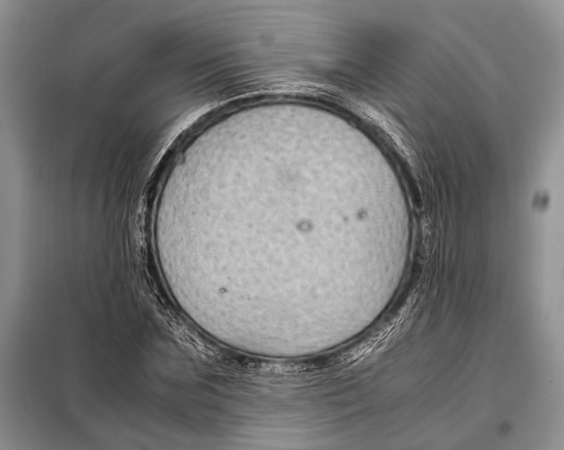 X0000098020875200804181159