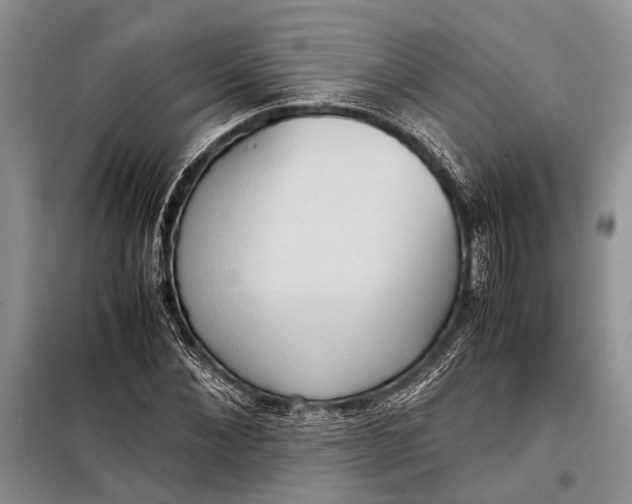 X0000098020876200804181159