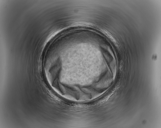 X0000098020877200804181159