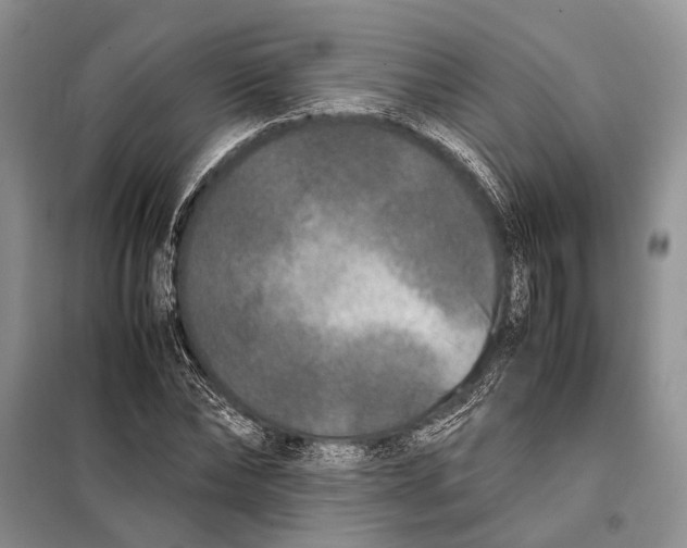 X0000098020878200804181159