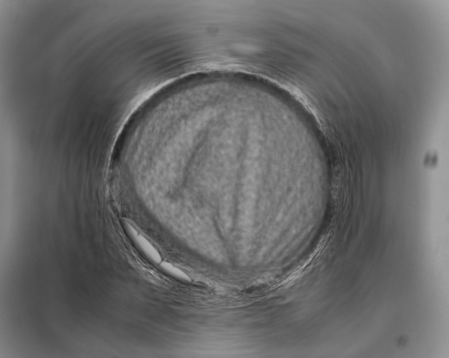 X0000098020879200804181159