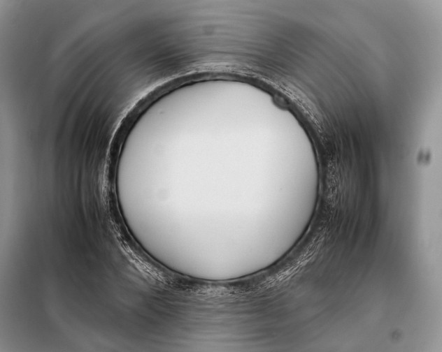 X0000098020880200804181159