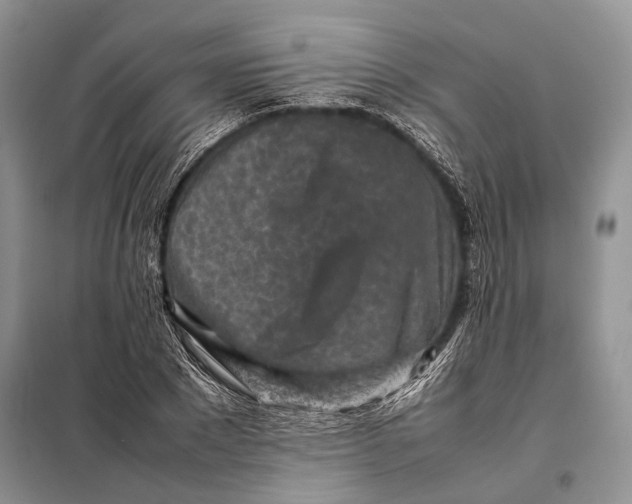 X0000098020881200804181159