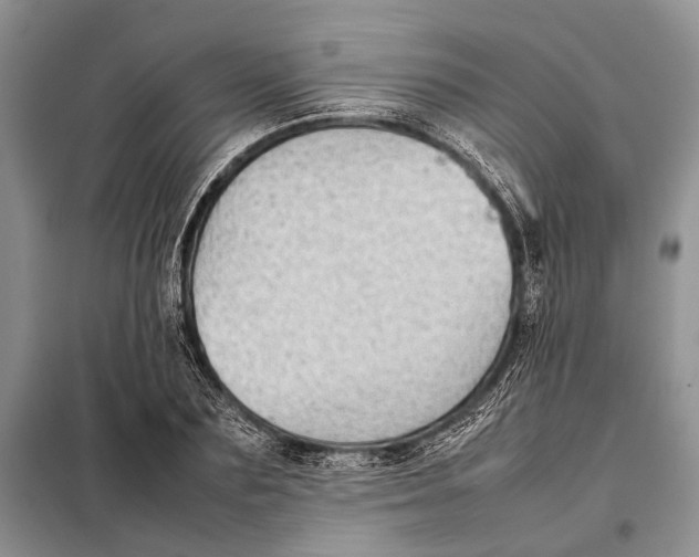 X0000098020883200804181159