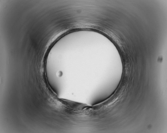 X0000098020885200804181159