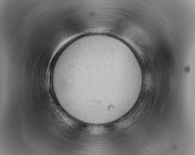 X0000098020886200804181159
