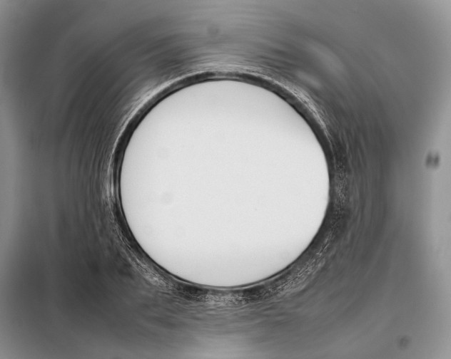 X0000098020887200804181159