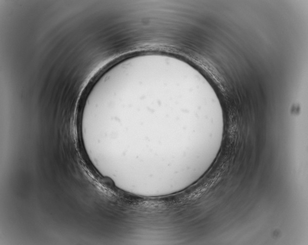 X0000098020888200804181159