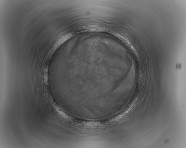 X0000098020889200804181159