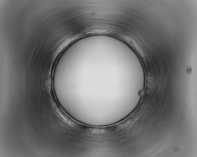 X0000098020890200804181159