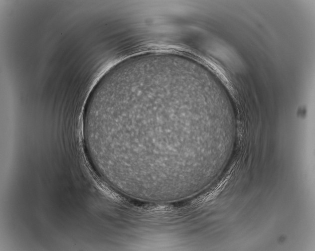 X0000098020891200804181159