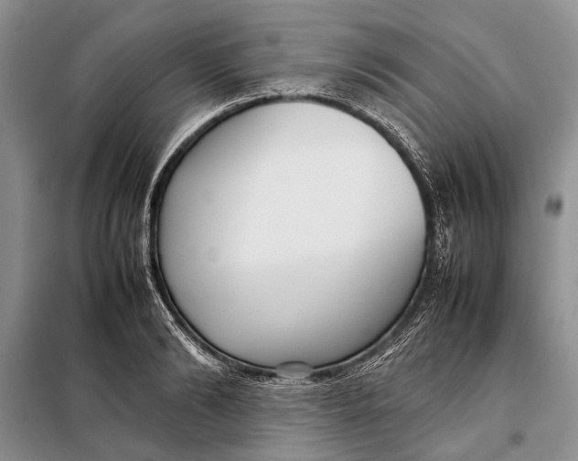 X0000098020894200804181159