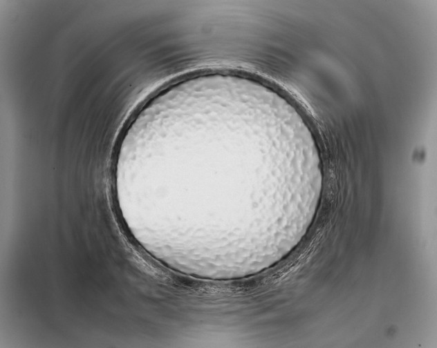 X0000098020895200804181159