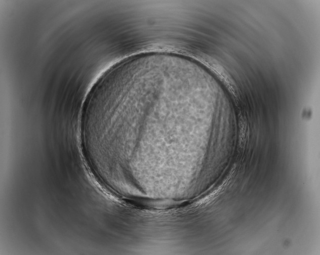 X0000098020896200804181159