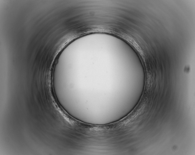 X0000098020898200804181159