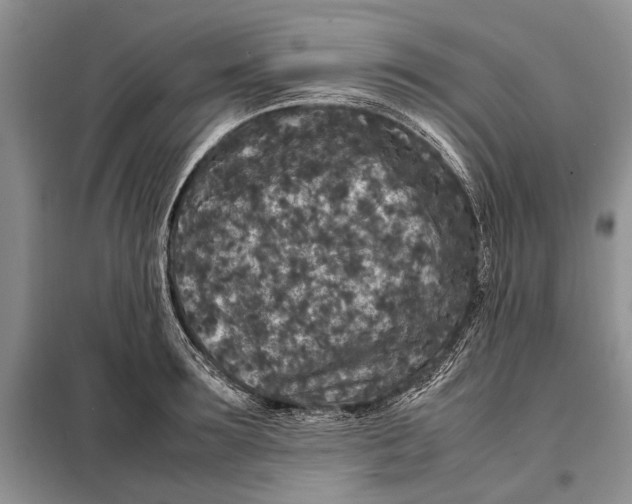 X0000098020899200804181159