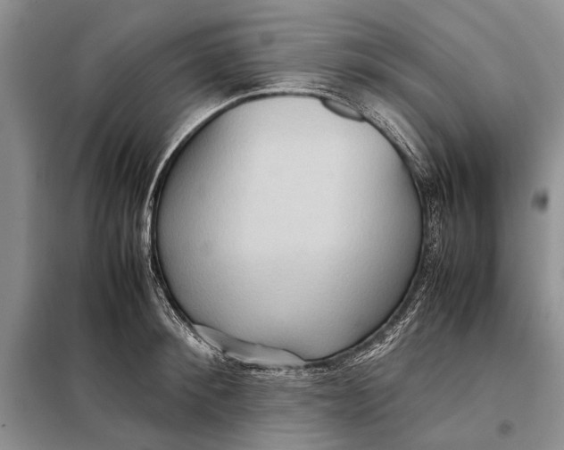 X0000098020900200804181159