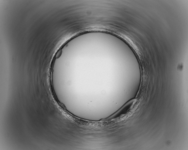 X0000098020901200804181159