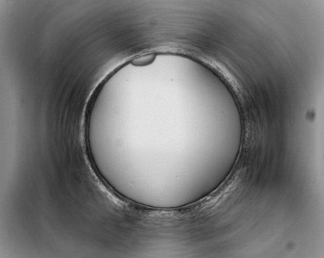 X0000098020902200804181159