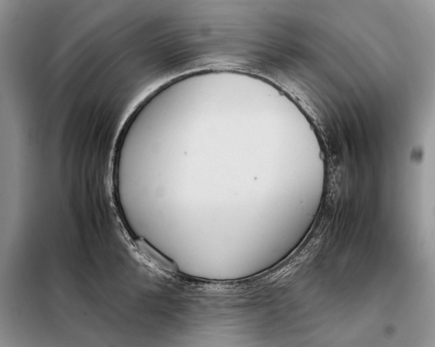X0000098020904200804181159