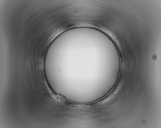 X0000098020905200804181159