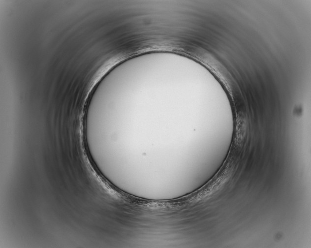 X0000098020906200804181159