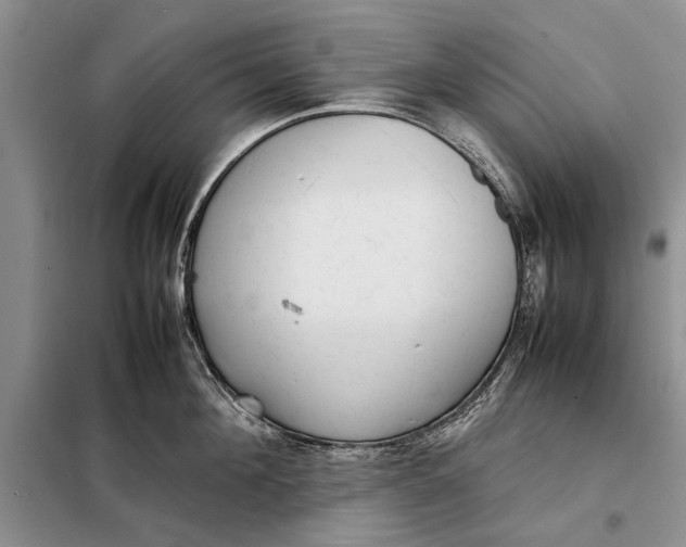 X0000098020908200804181159