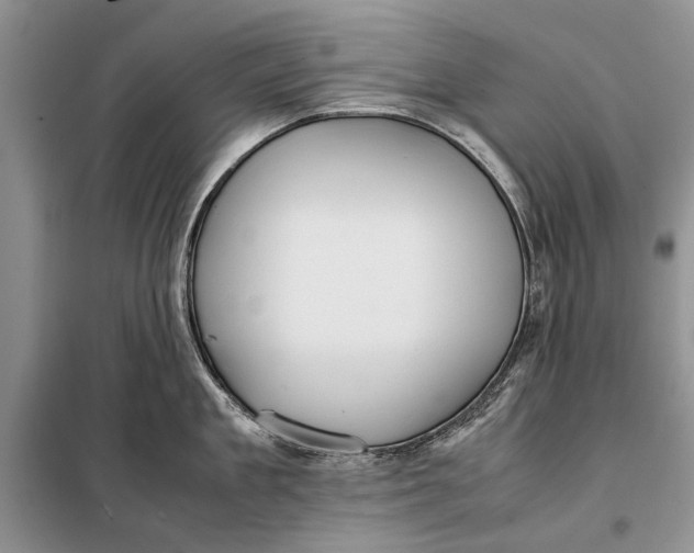 X0000098020909200804181159