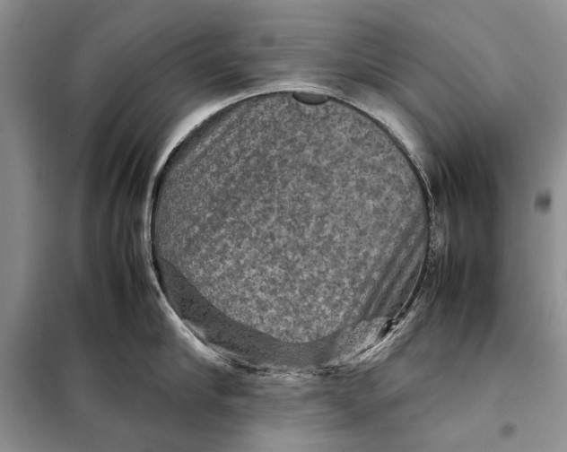 X0000098020910200804181159