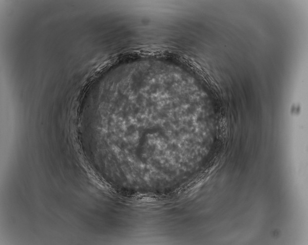 X0000098020913200804181158
