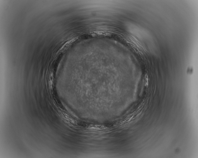 X0000098020915200804181158