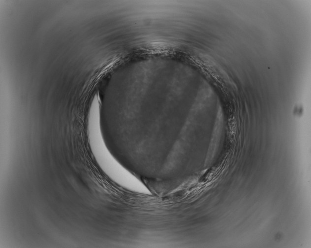 X0000098020916200804181158