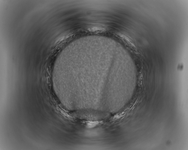 X0000098020917200804181158