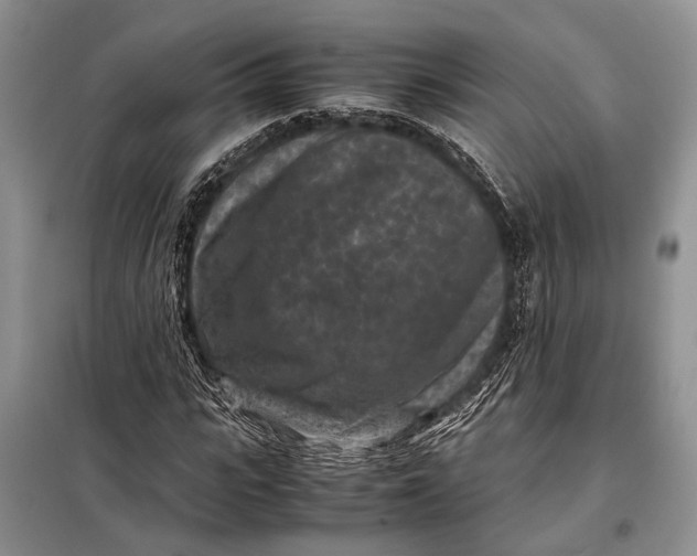 X0000098020919200804181158