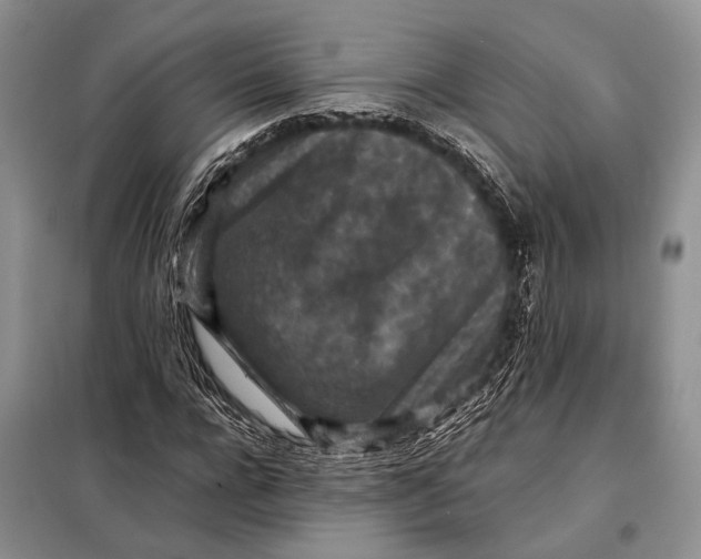 X0000098020920200804181158