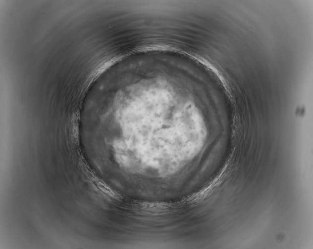 X0000098020921200804181158