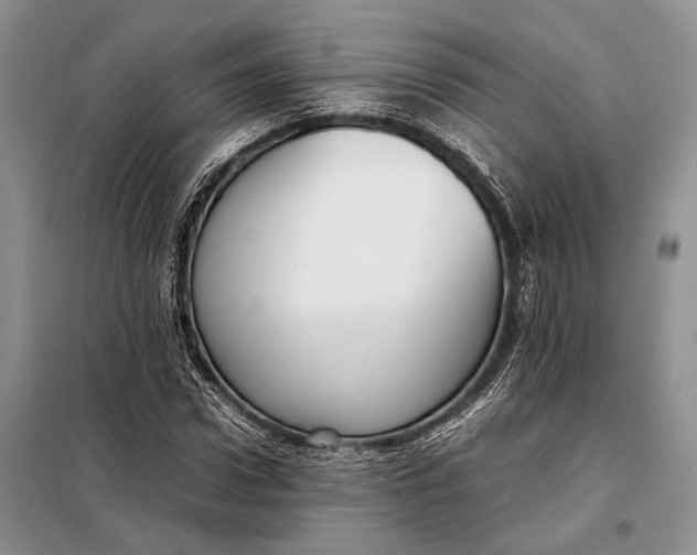 X0000098020922200804181158