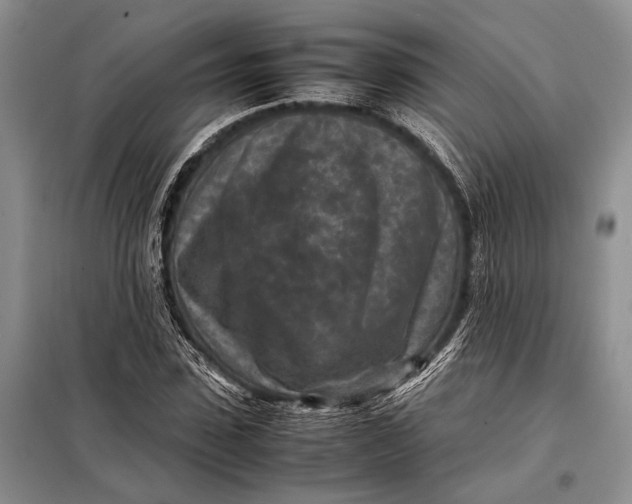 X0000098020923200804181158