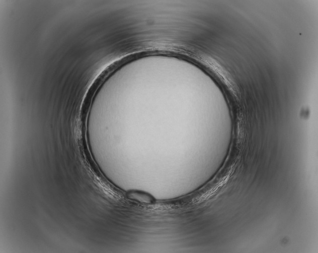 X0000098020924200804181158