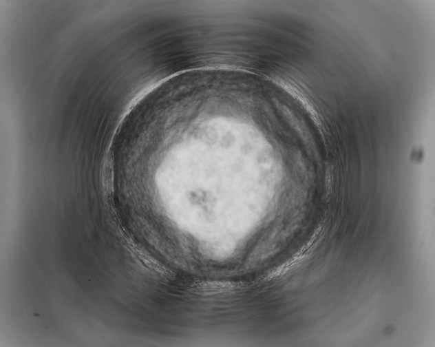 X0000098020925200804181158