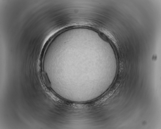 X0000098020928200804181158