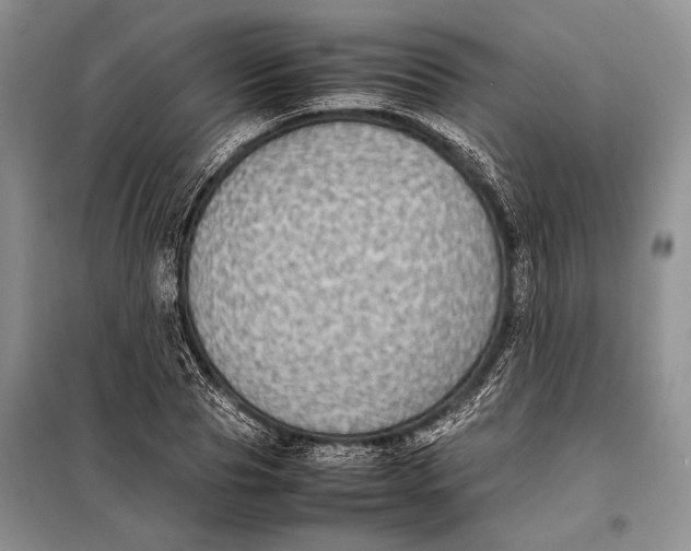 X0000098020929200804181158